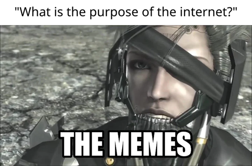 "What is the purpose of the internet?" (image below of Raiden from Metal Gear Rising) The memes