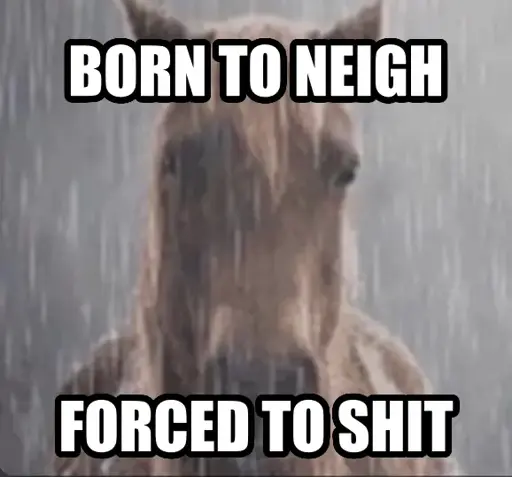 Born to neigh forced to shit (picture of horse in the rain in background)
