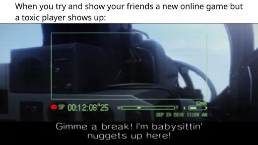 When you try and show your friends a new online game but a toxic player shows up: (screenshot from Ace Combat 5) Gimme a break! I'm babysittin' nuggets up here!