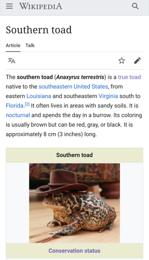 the Wikipedia page for "southern toad" but the image is photoshopped for a southern toad in a cowboy hat